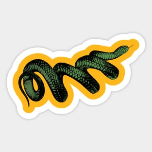 Snake Sticker